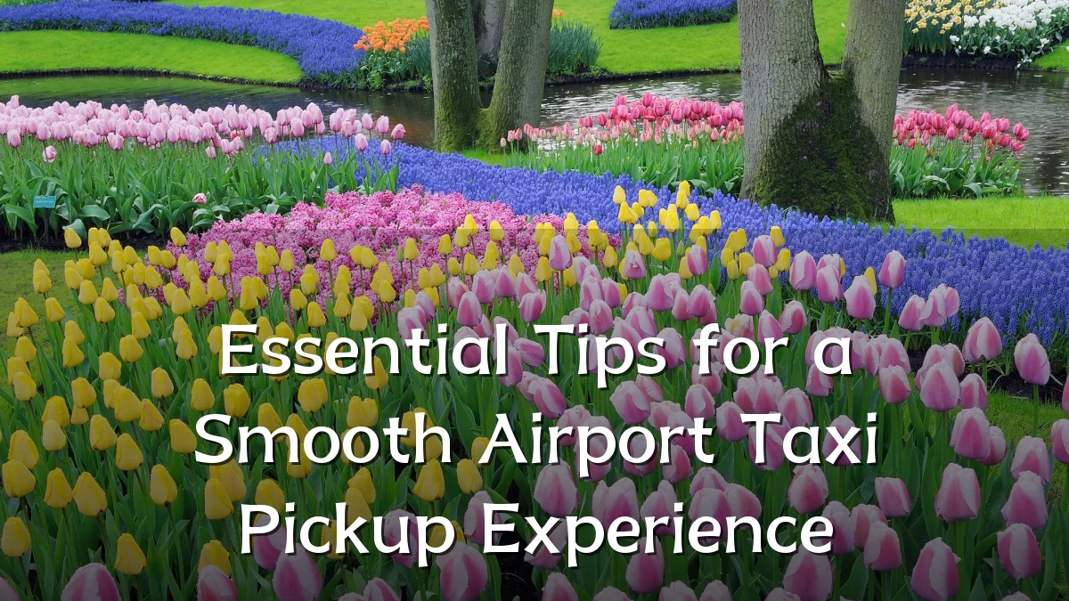 Essential Tips for a Smooth Airport Taxi Pickup Experience