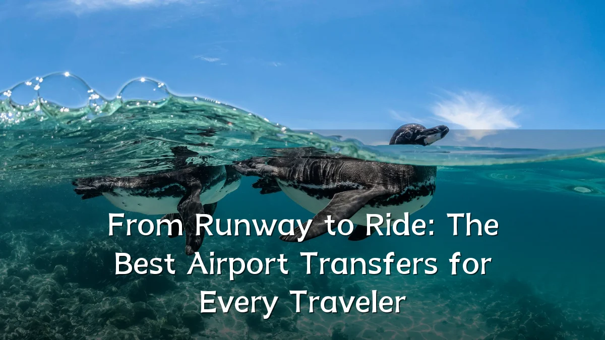 From Runway to Ride: The Best Airport Transfers for Every Traveler
