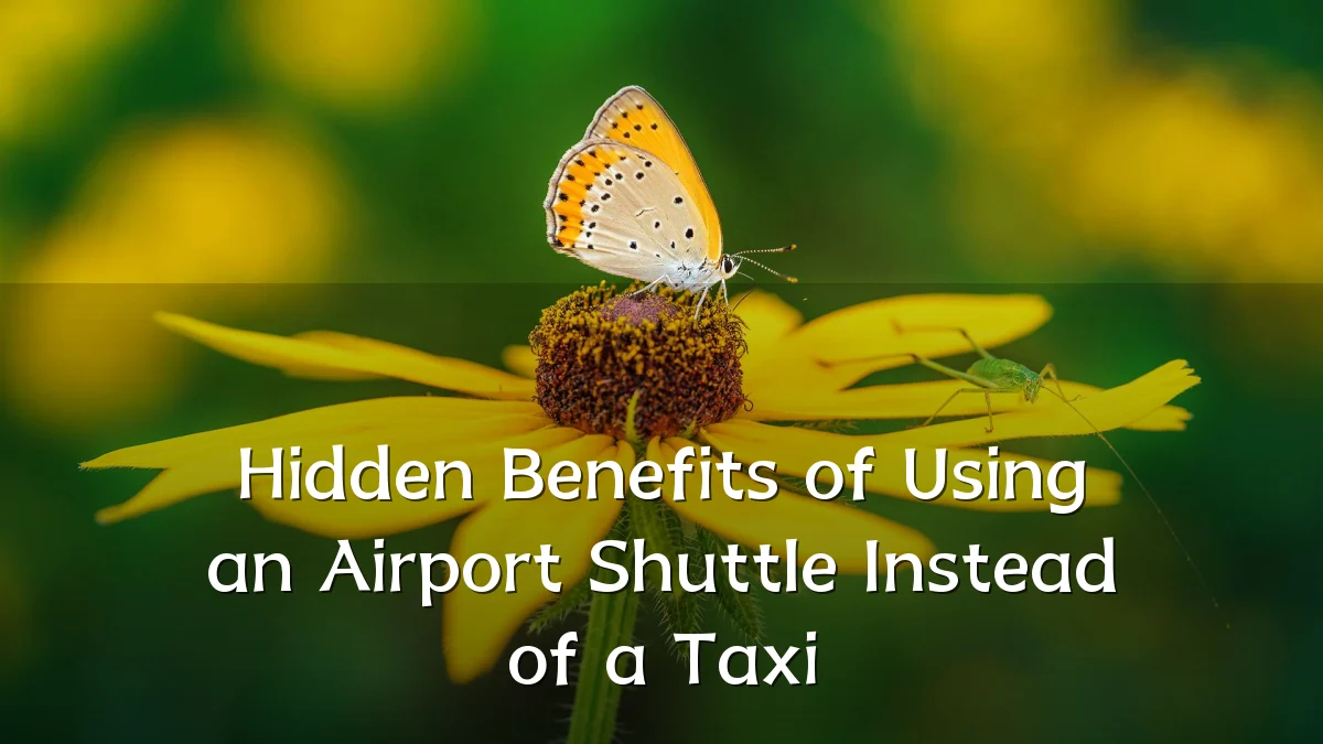 Hidden Benefits of Using an Airport Shuttle Instead of a Taxi