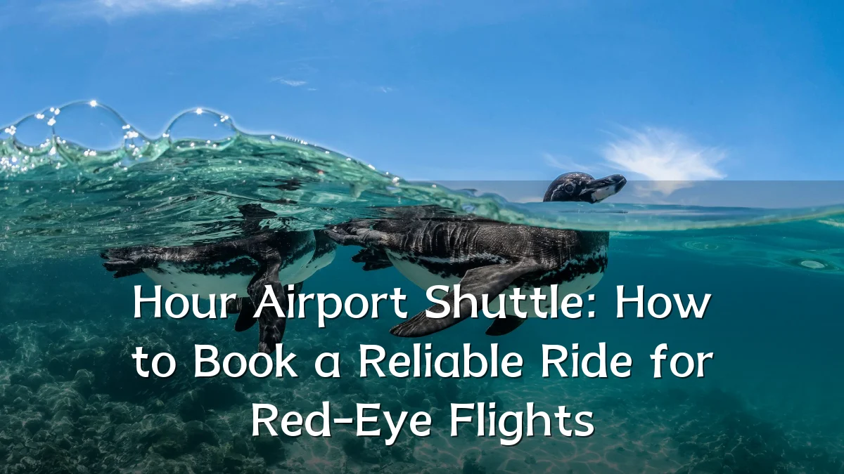 Hour Airport Shuttle: How to Book a Reliable Ride for Red-Eye Flights