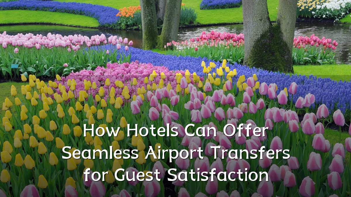 How Hotels Can Offer Seamless Airport Transfers for Guest Satisfaction