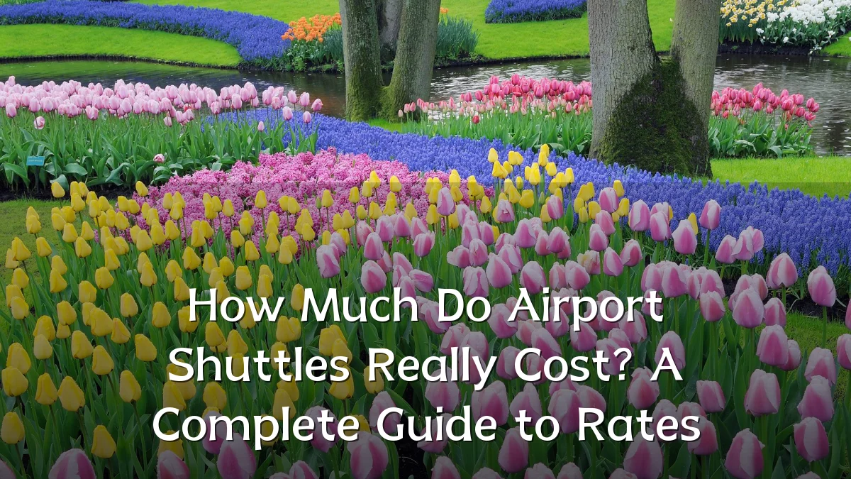 How Much Do Airport Shuttles Really Cost? A Complete Guide to Rates