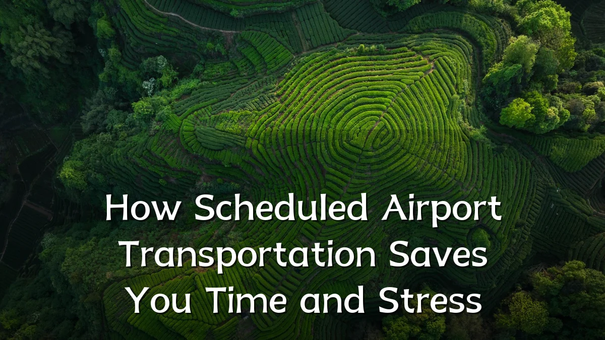 How Scheduled Airport Transportation Saves You Time and Stress
