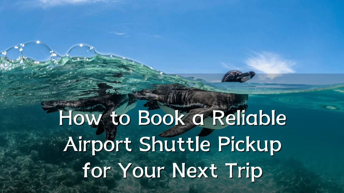 How to Book a Reliable Airport Shuttle Pickup for Your Next Trip