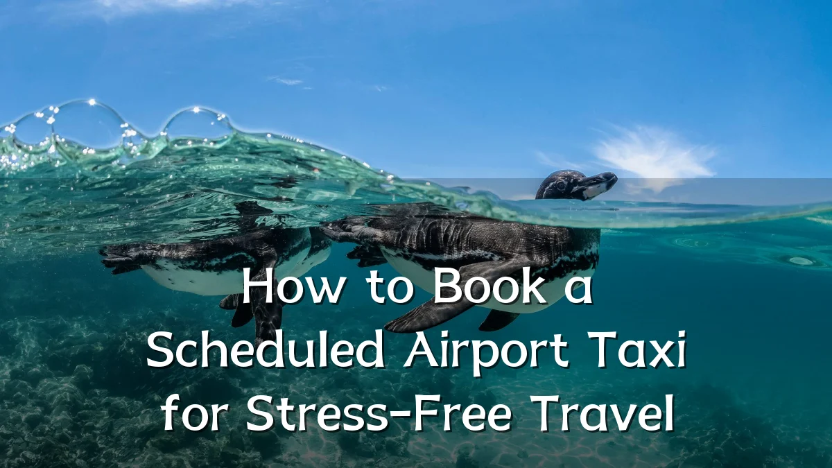 How to Book a Scheduled Airport Taxi for Stress-Free Travel