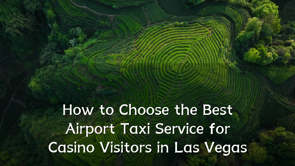 How to Choose the Best Airport Taxi Service for Casino Visitors in Las Vegas