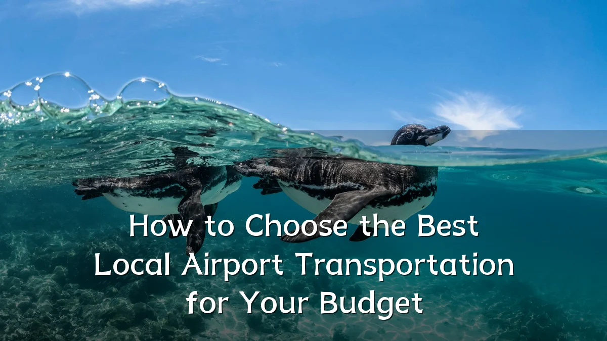 How to Choose the Best Local Airport Transportation for Your Budget