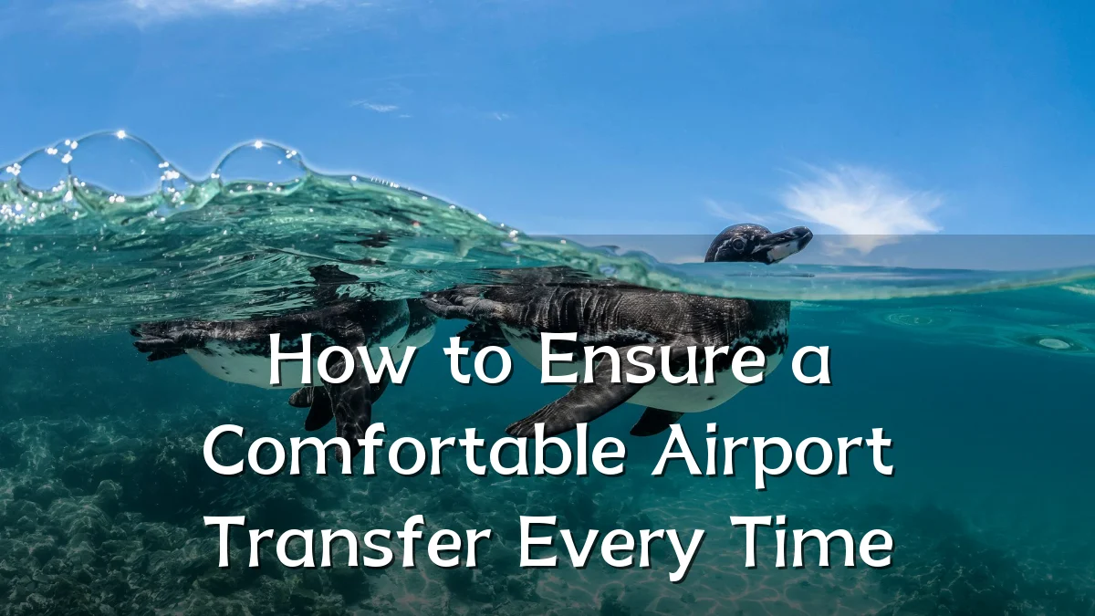 How to Ensure a Comfortable Airport Transfer Every Time