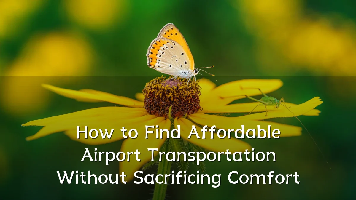 How to Find Affordable Airport Transportation Without Sacrificing Comfort