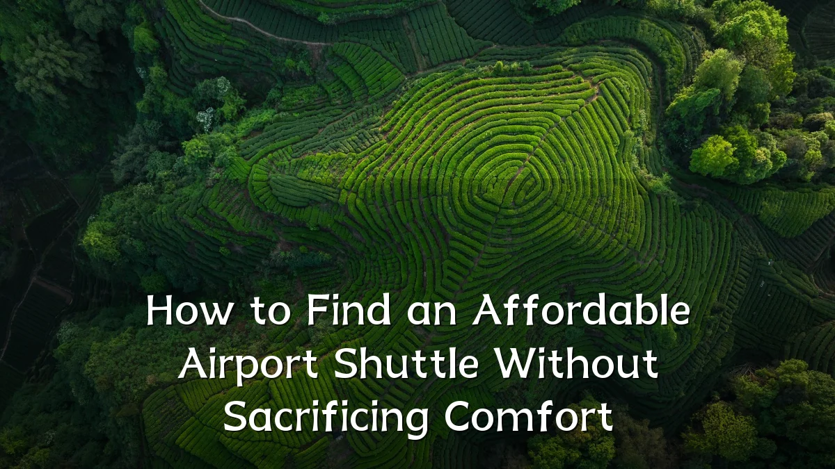 How to Find an Affordable Airport Shuttle Without Sacrificing Comfort