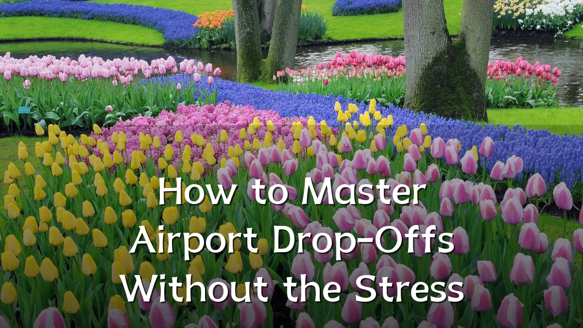 How to Master Airport Drop-Offs Without the Stress