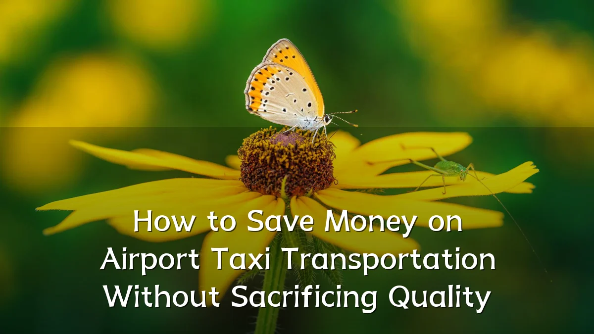 How to Save Money on Airport Taxi Transportation Without Sacrificing Quality