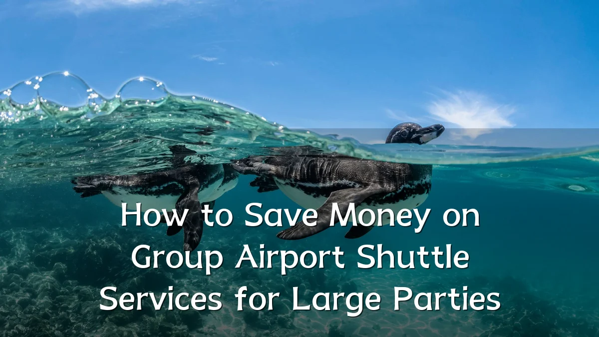 How to Save Money on Group Airport Shuttle Services for Large Parties