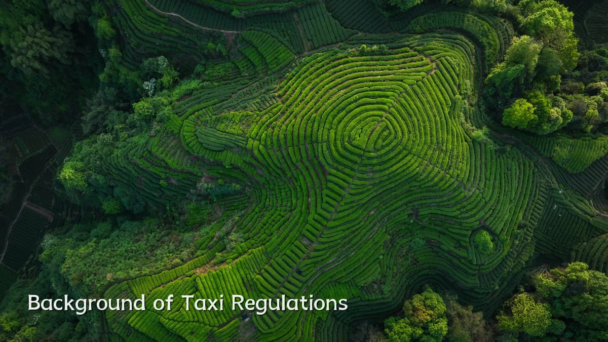 Background of Taxi Regulations