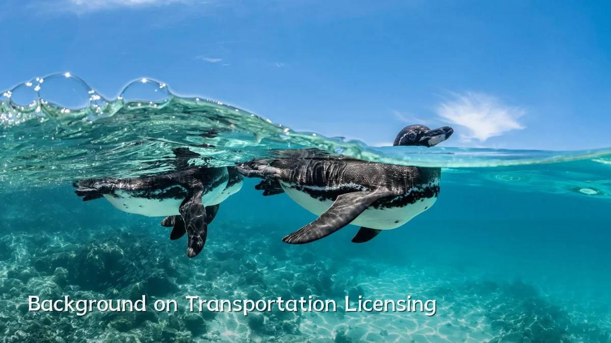Background on Transportation Licensing