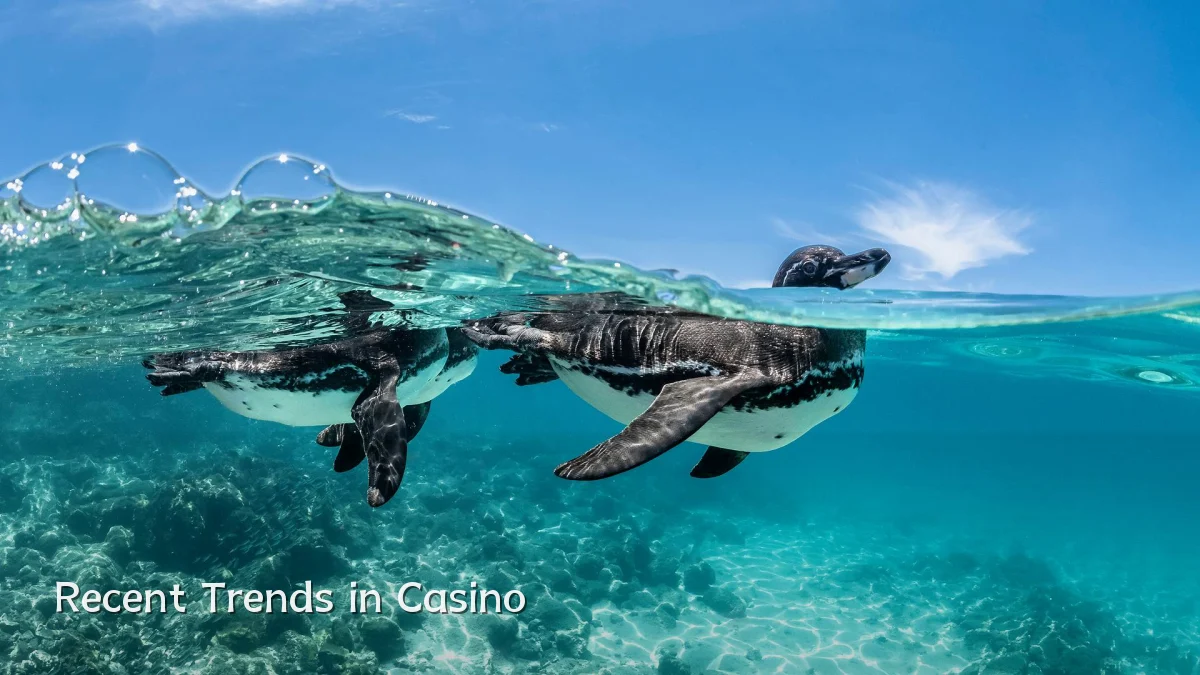 Recent Trends in Casino