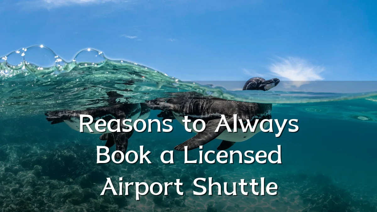 Reasons to Always Book a Licensed Airport Shuttle