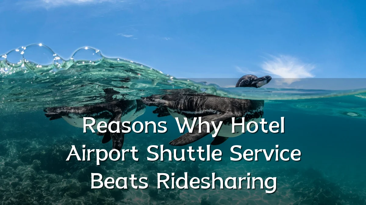 Reasons Why Hotel Airport Shuttle Service Beats Ridesharing