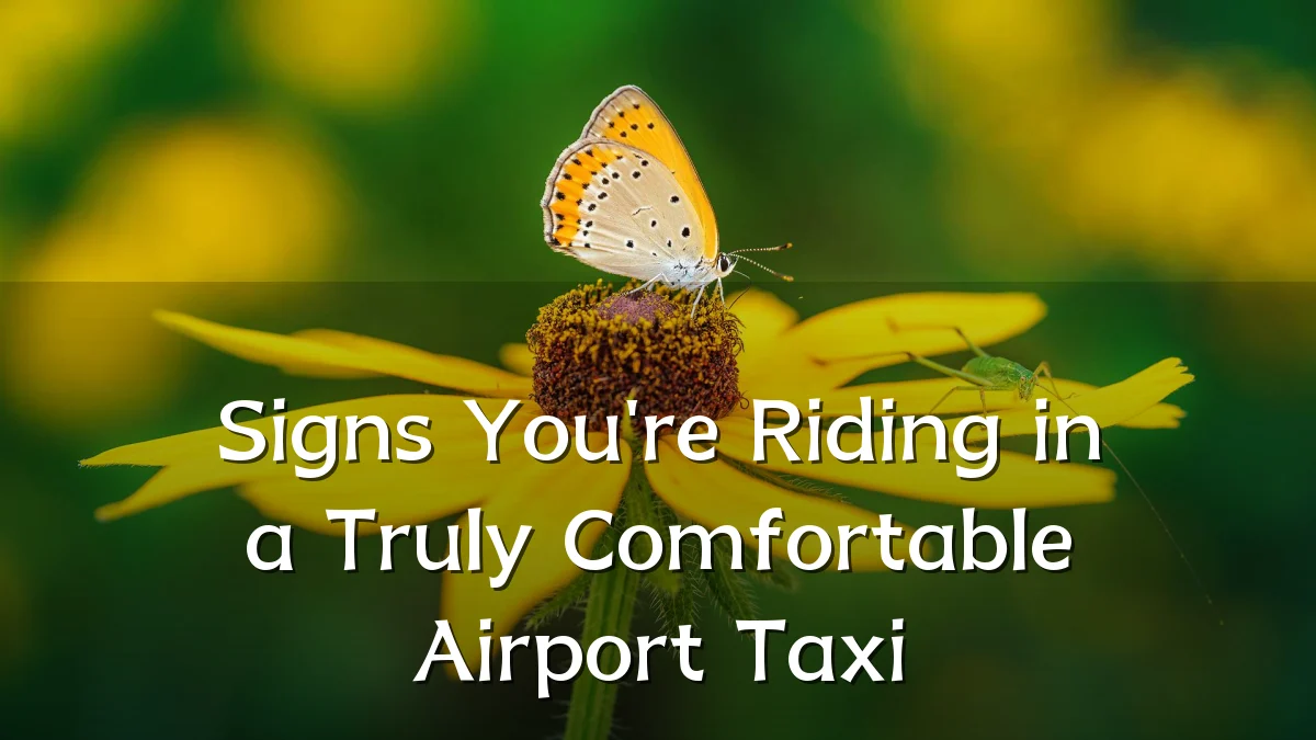Signs You're Riding in a Truly Comfortable Airport Taxi