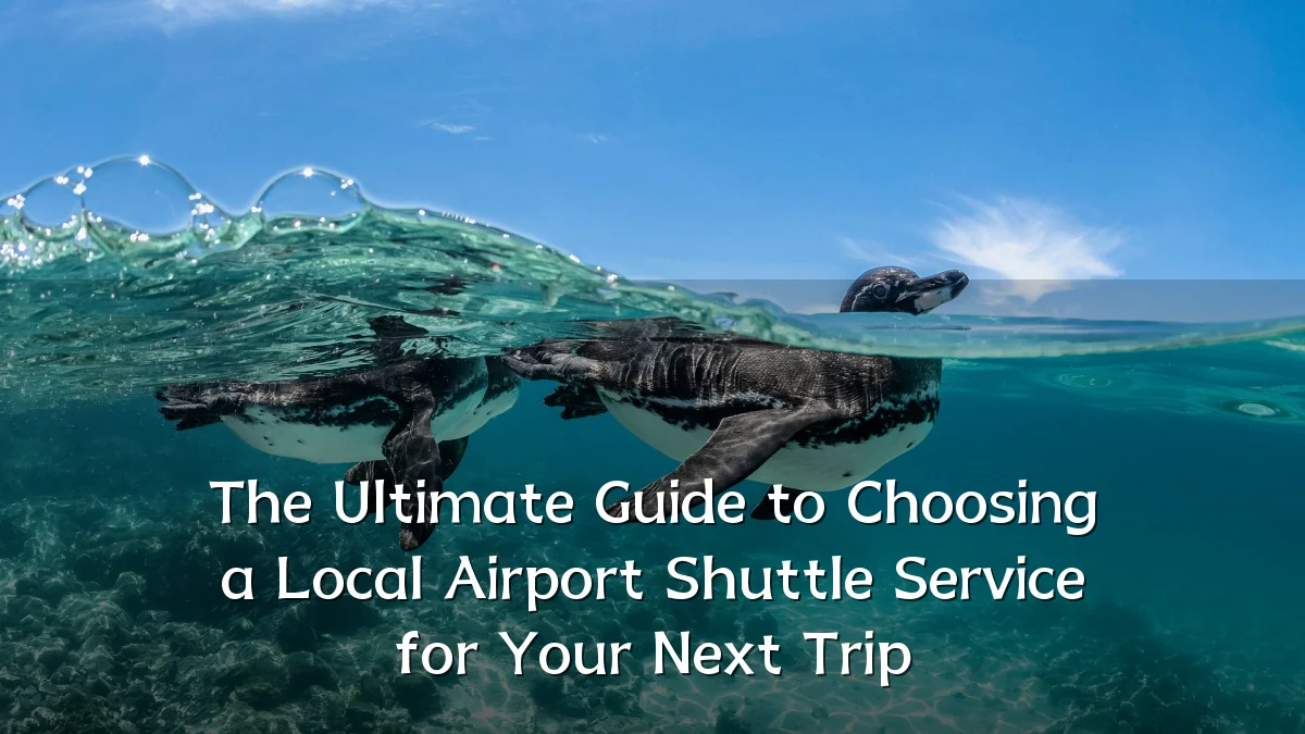 The Ultimate Guide to Choosing a Local Airport Shuttle Service for Your Next Trip