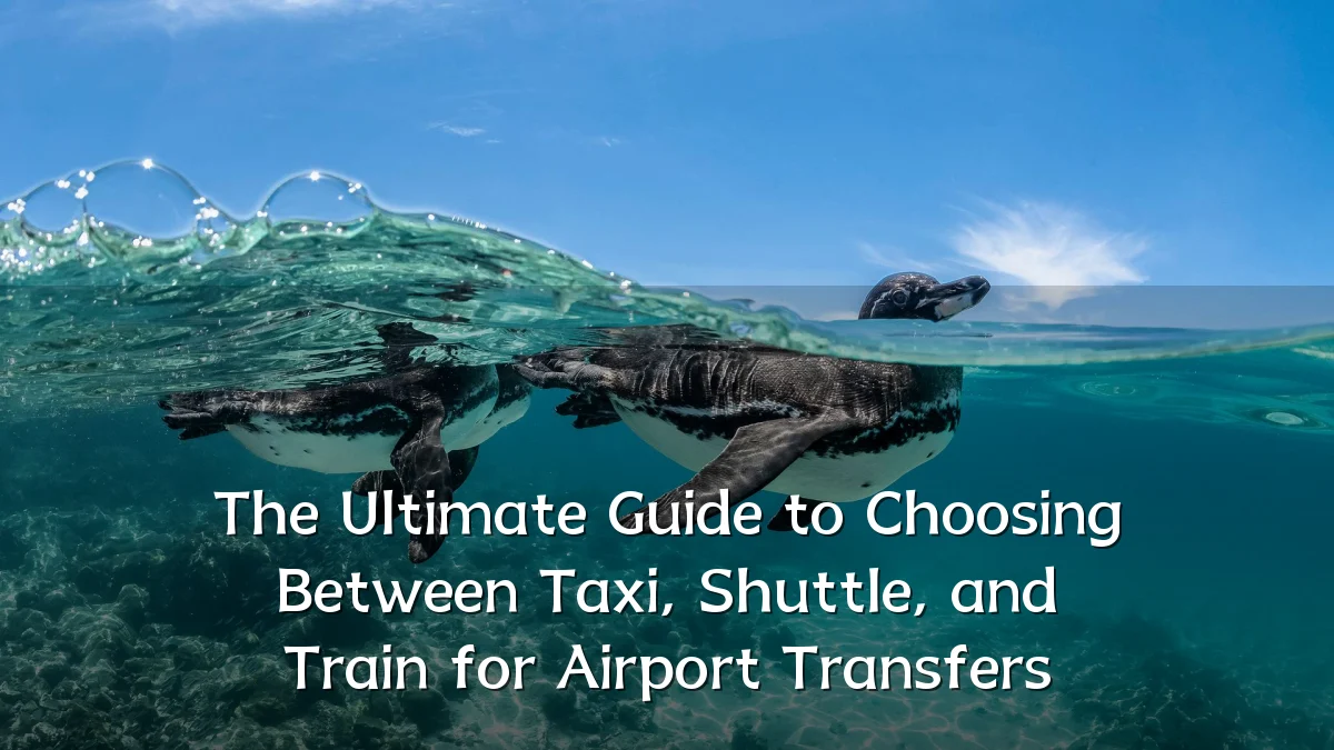 The Ultimate Guide to Choosing Between Taxi, Shuttle, and Train for Airport Transfers