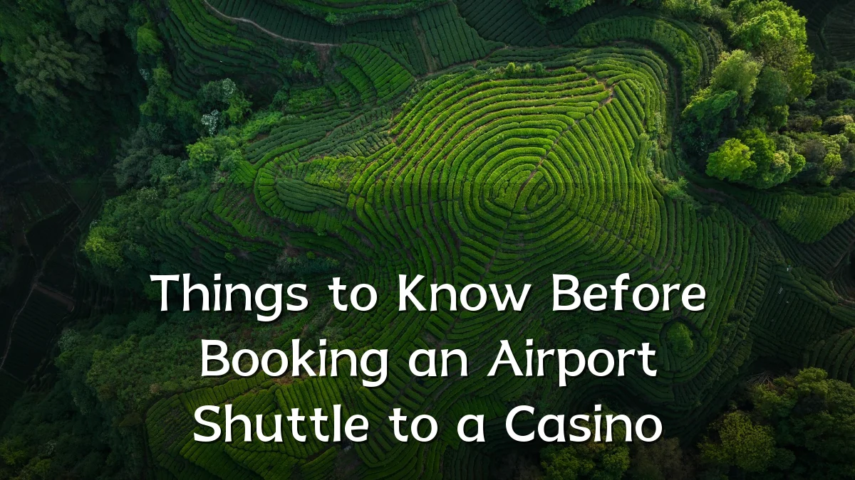 Things to Know Before Booking an Airport Shuttle to a Casino