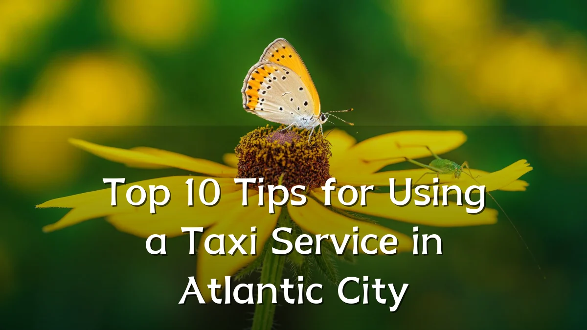 Top 10 Tips for Using a Taxi Service in Atlantic City