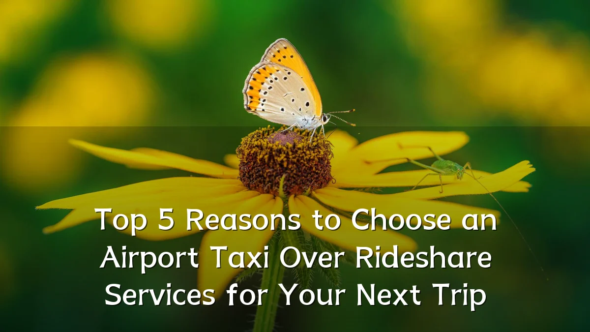 Top 5 Reasons to Choose an Airport Taxi Over Rideshare Services for Your Next Trip