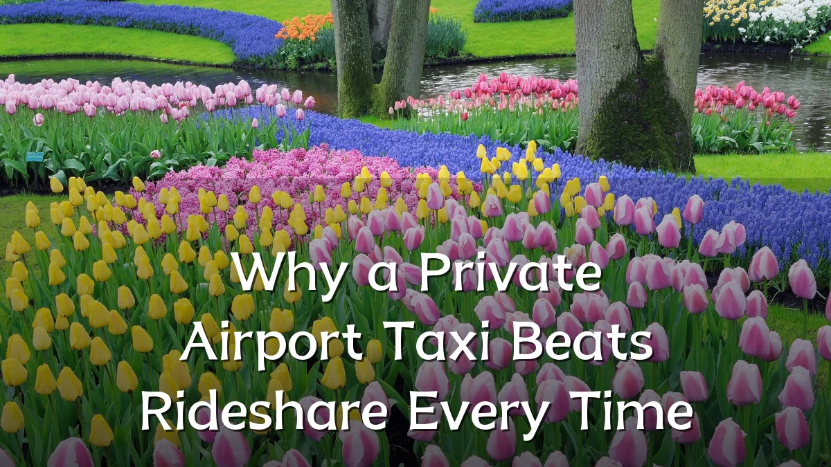 Why a Private Airport Taxi Beats Rideshare Every Time