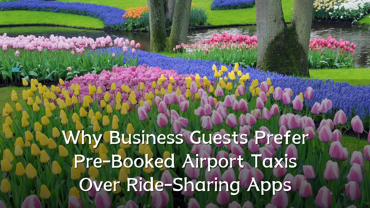 Why Business Guests Prefer Pre-Booked Airport Taxis Over Ride-Sharing Apps