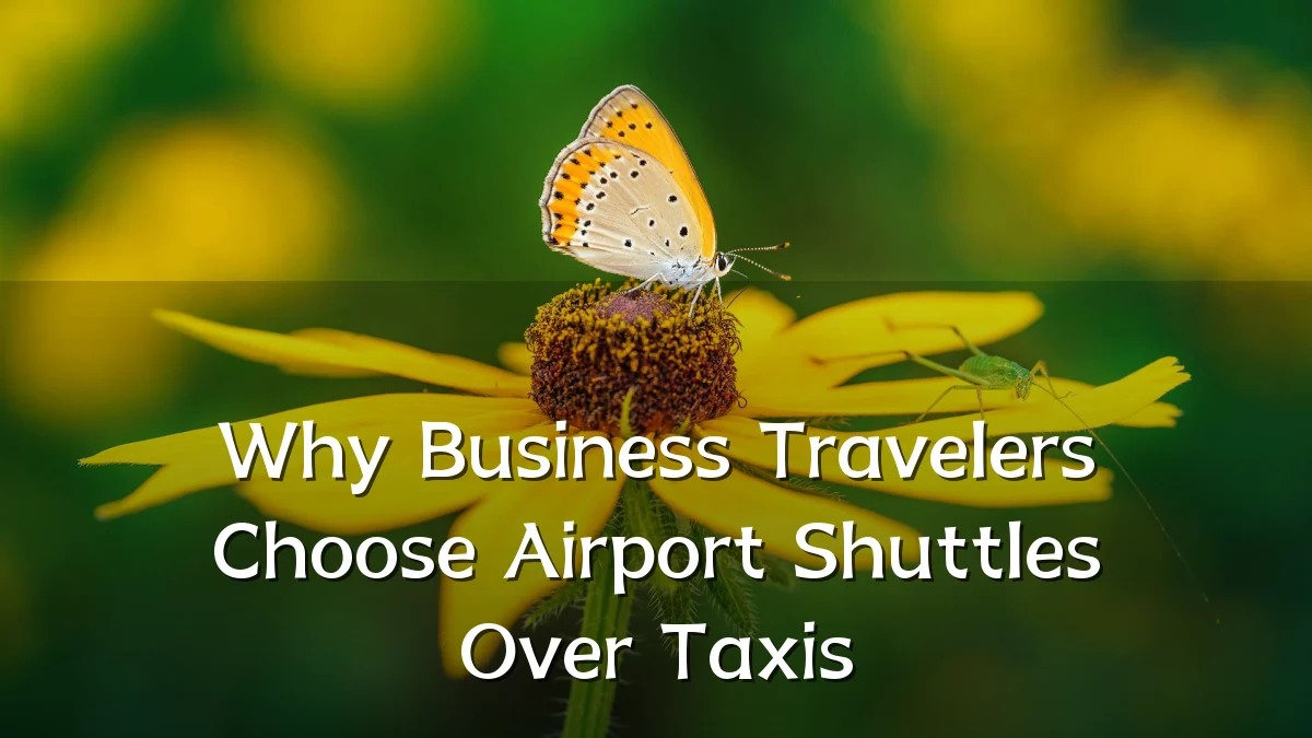 Why Business Travelers Choose Airport Shuttles Over Taxis