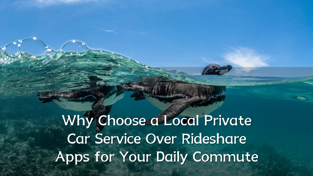 Why Choose a Local Private Car Service Over Rideshare Apps for Your Daily Commute