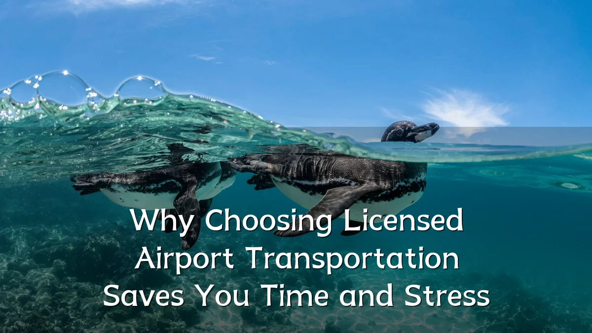 Why Choosing Licensed Airport Transportation Saves You Time and Stress