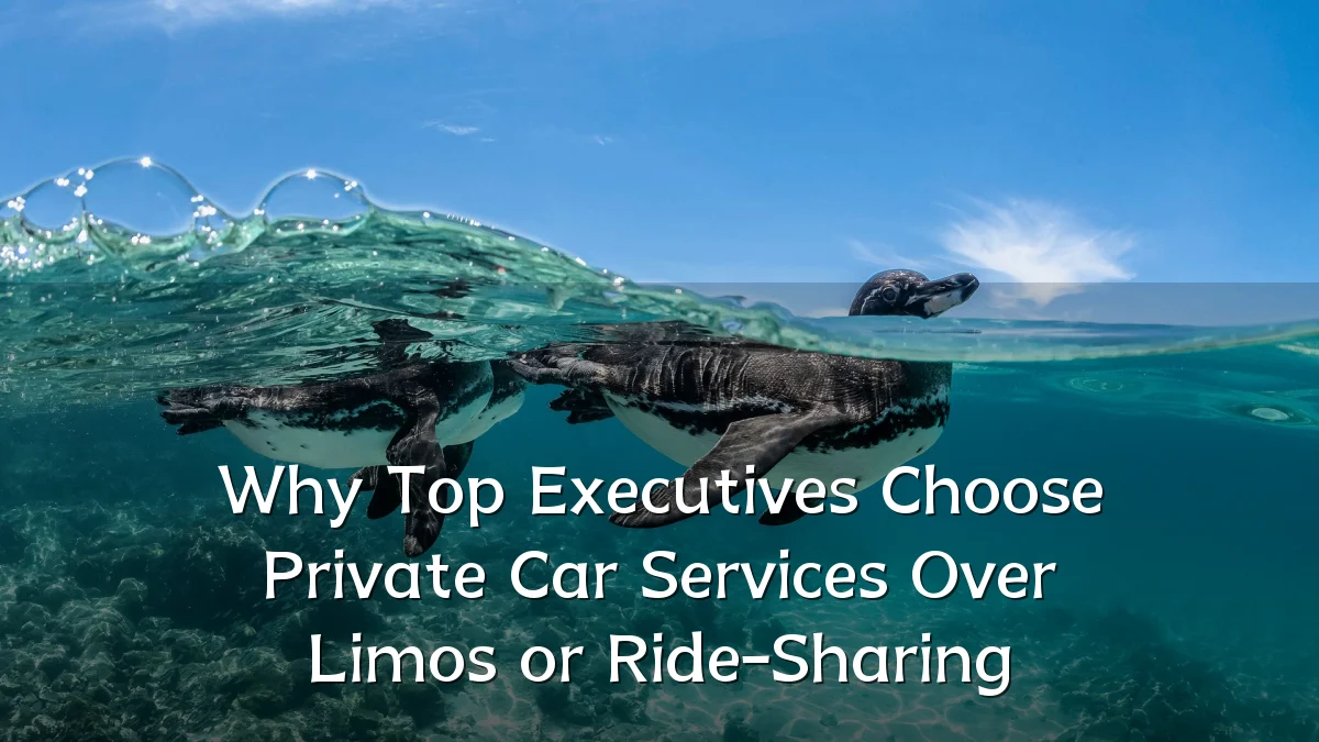 Why Top Executives Choose Private Car Services Over Limos or Ride-Sharing