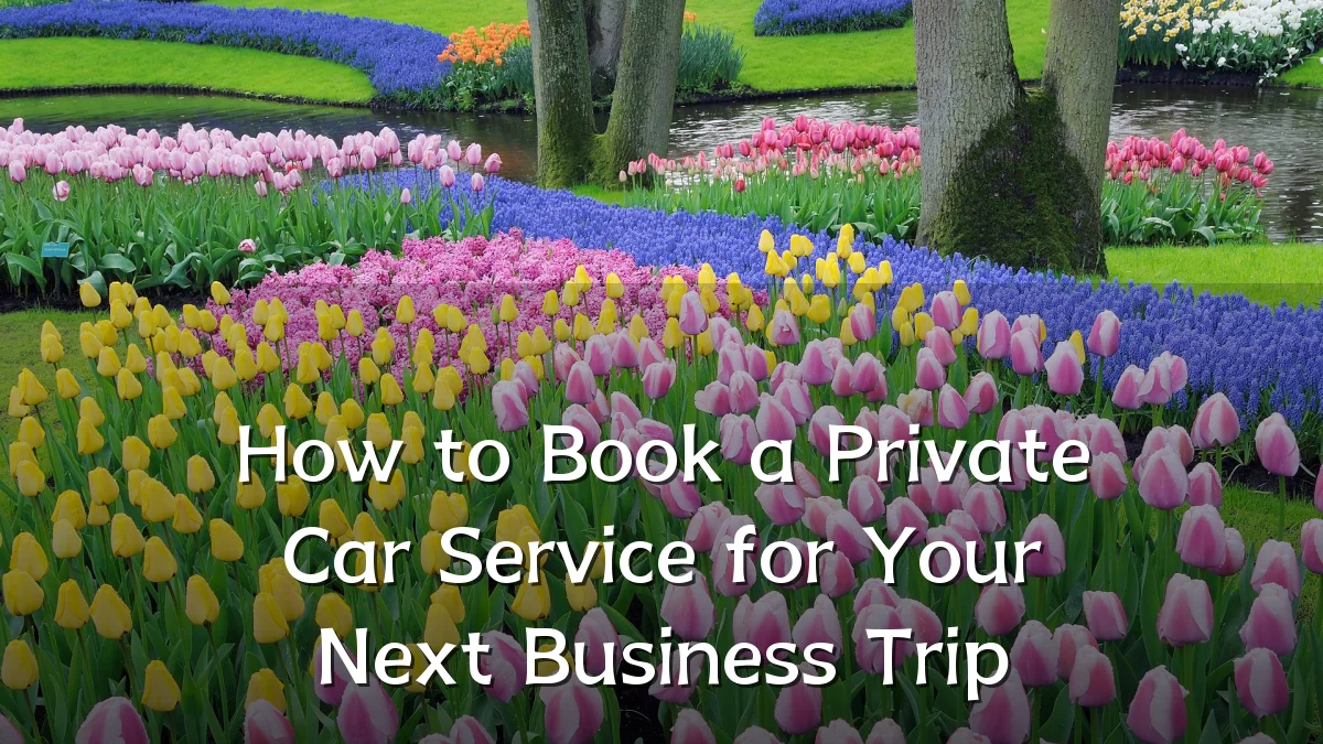 How to Book a Private Car Service for Your Next Business Trip
