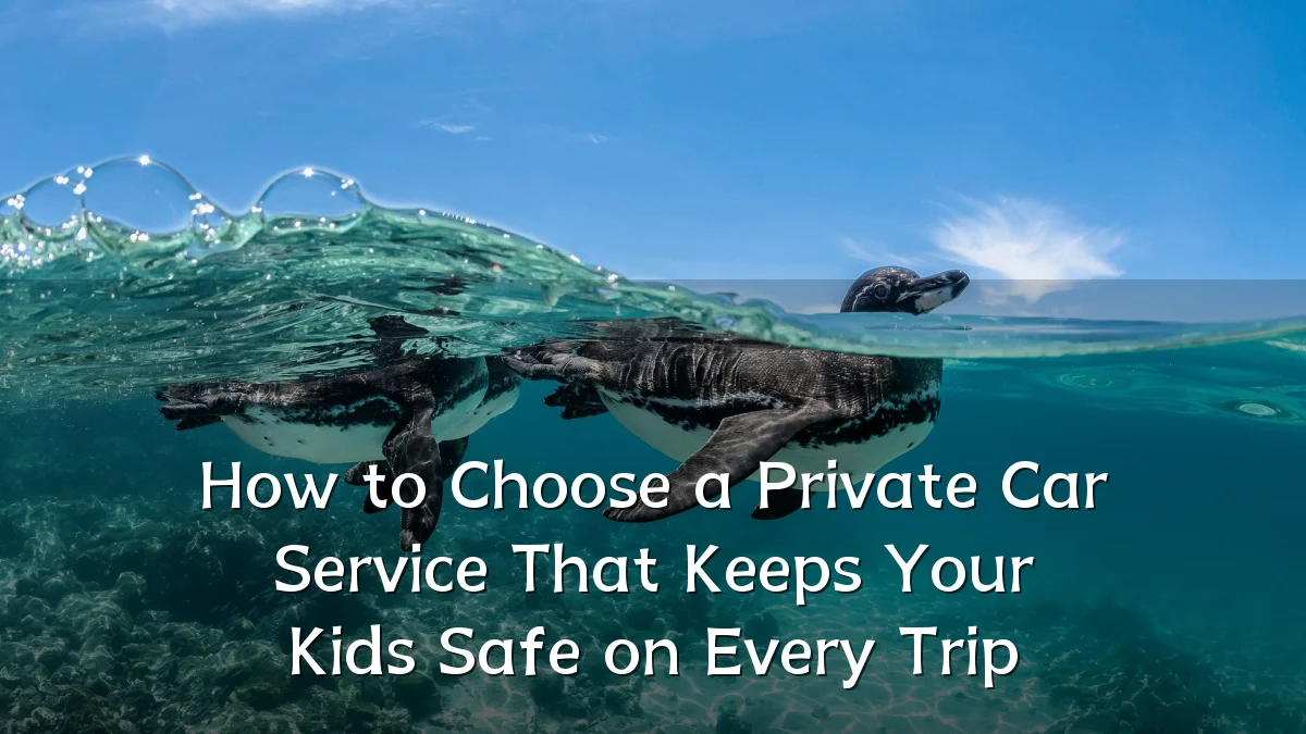 How to Choose a Private Car Service That Keeps Your Kids Safe on Every Trip
