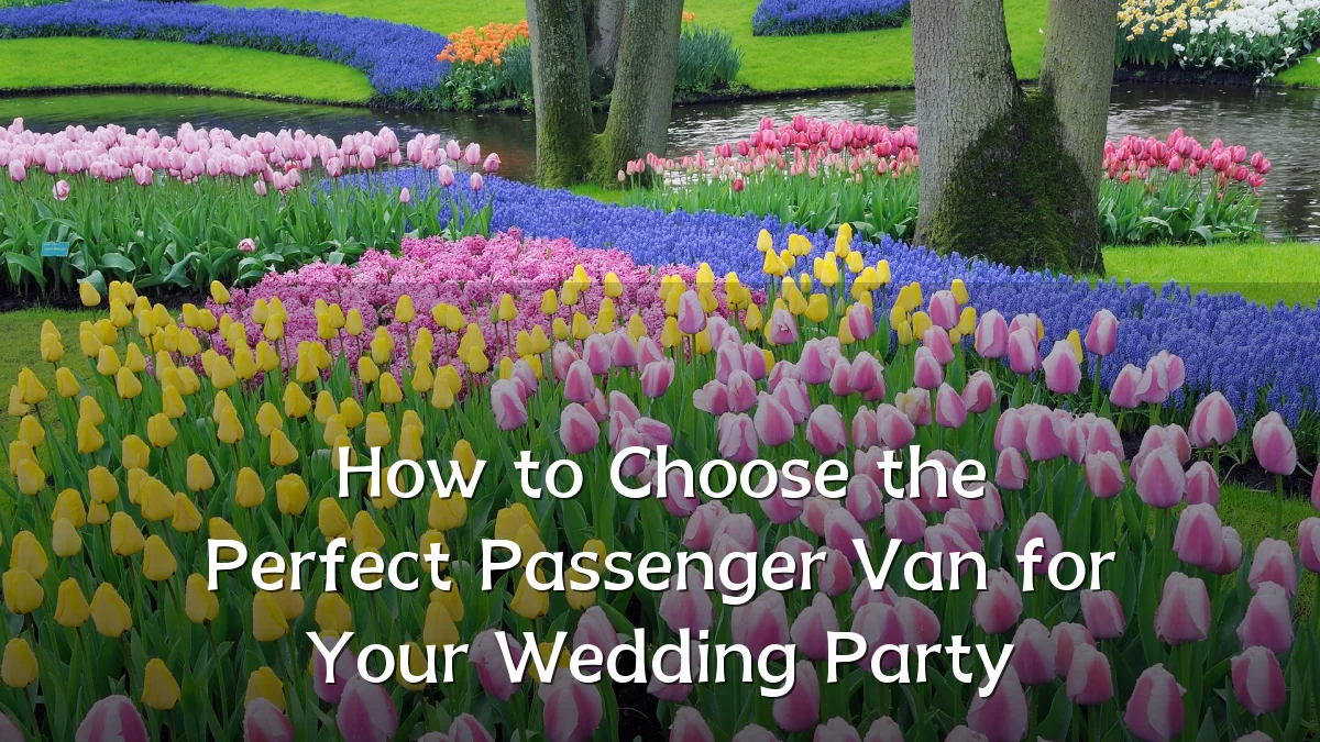 How to Choose the Perfect Passenger Van for Your Wedding Party