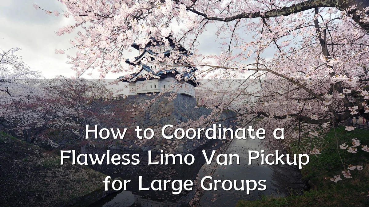 How to Coordinate a Flawless Limo Van Pickup for Large Groups