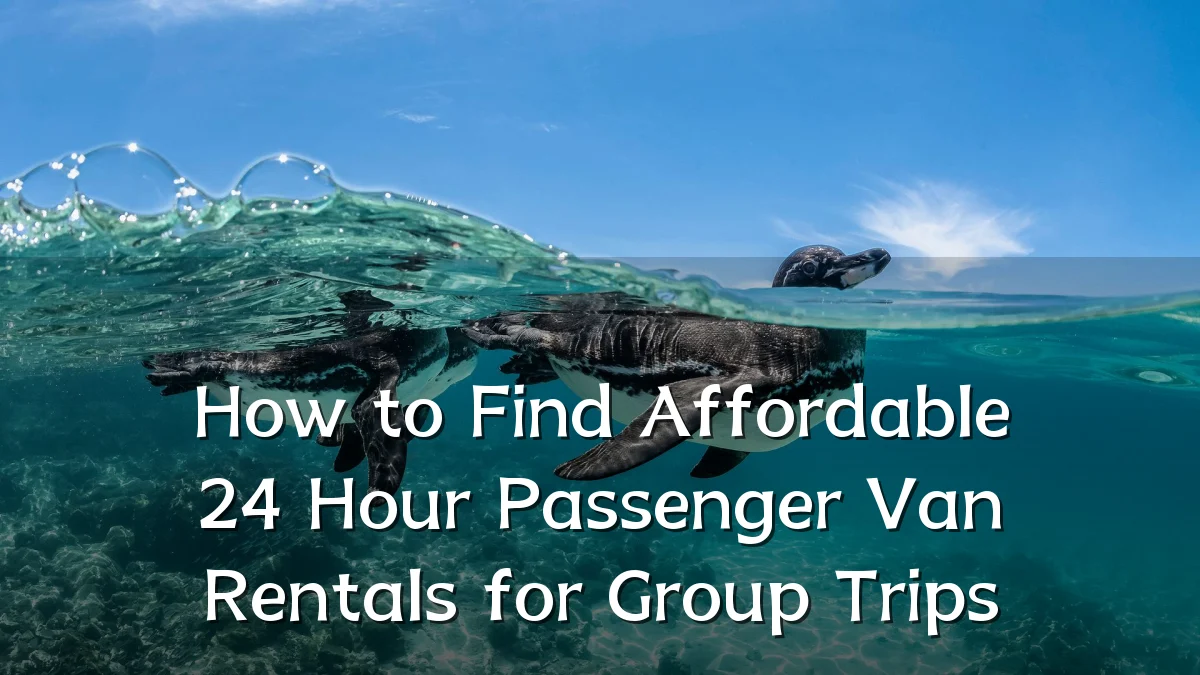 How to Find Affordable 24 Hour Passenger Van Rentals for Group Trips