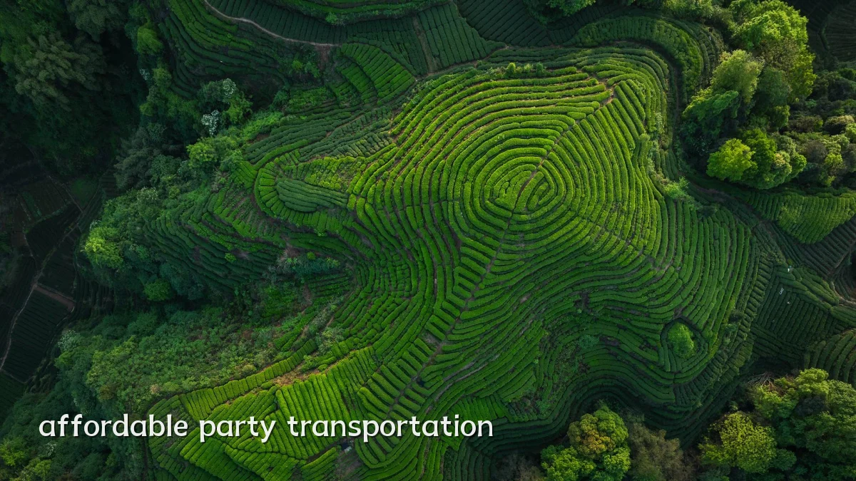 affordable party transportation