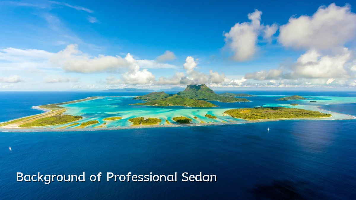 Background of Professional Sedan