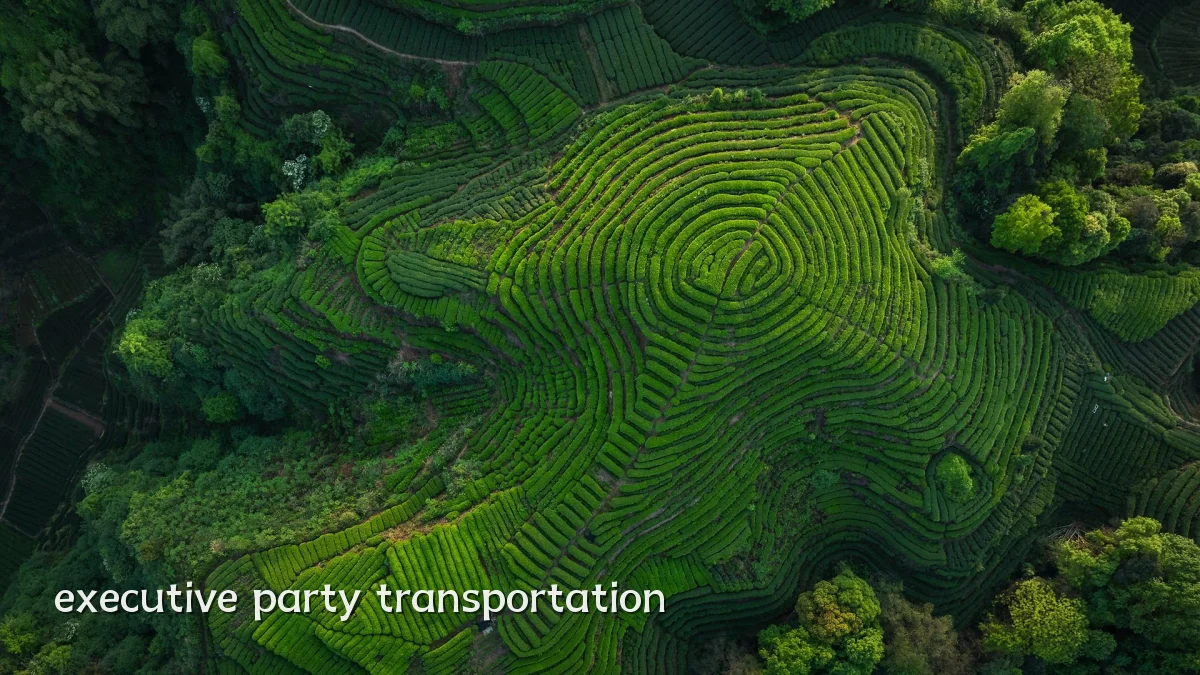 executive party transportation