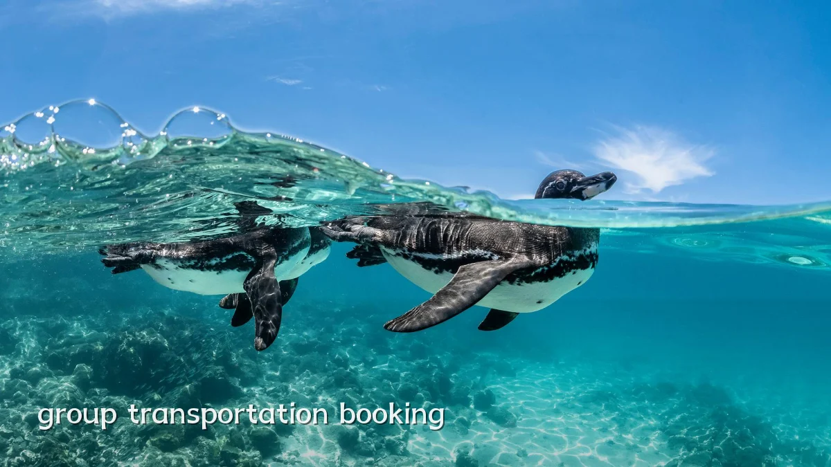 group transportation booking