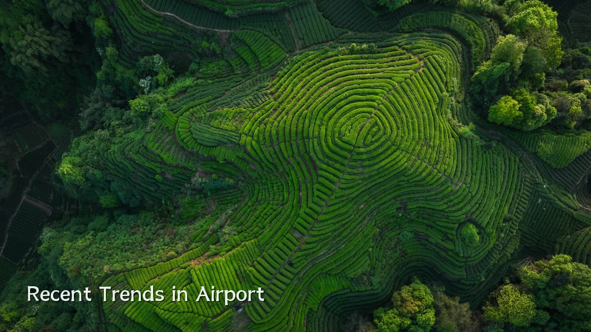 Recent Trends in Airport