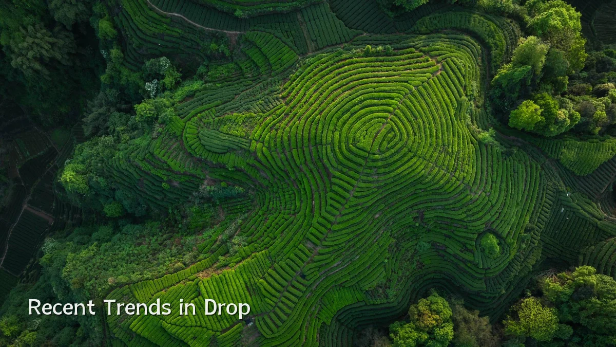 Recent Trends in Drop
