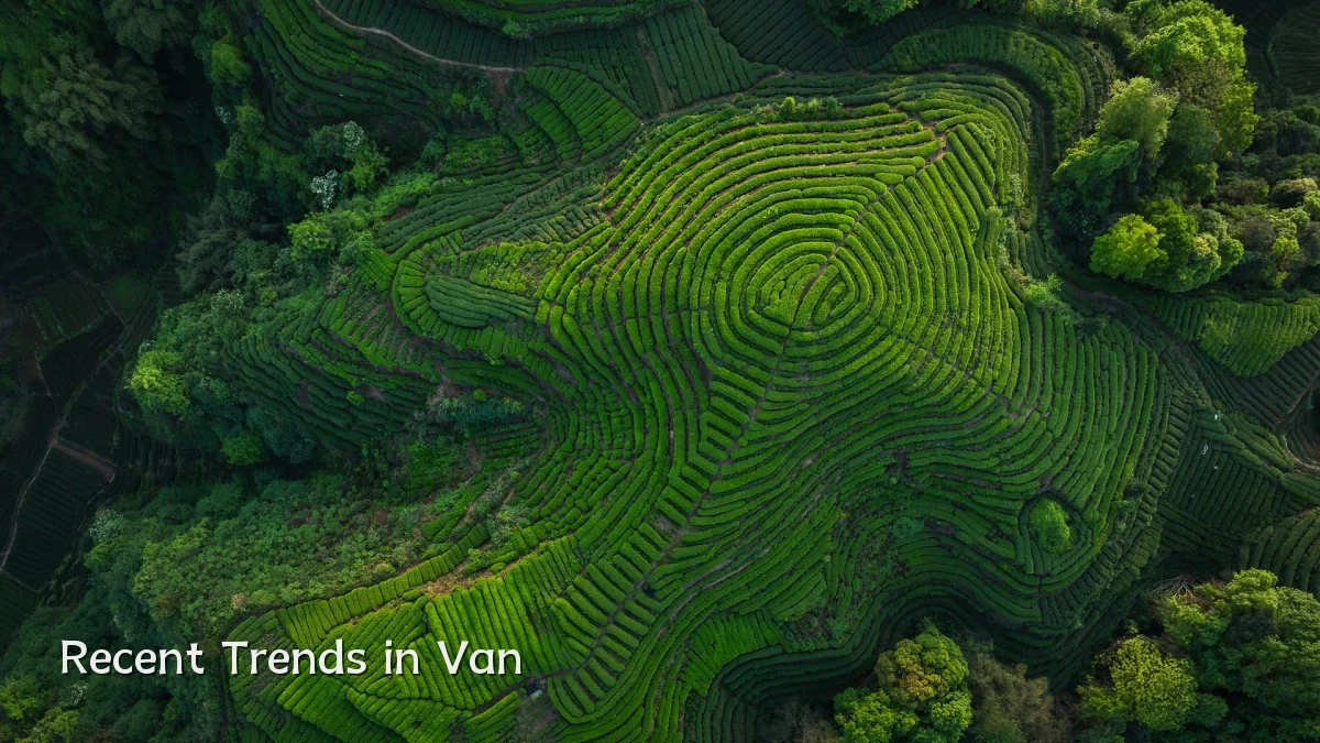 Recent Trends in Van