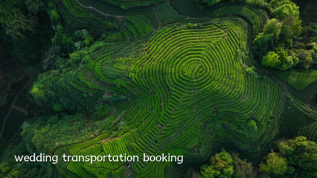 wedding transportation booking