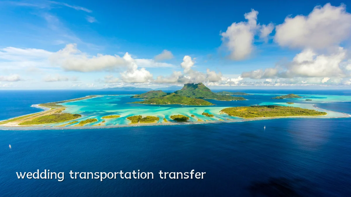 wedding transportation transfer