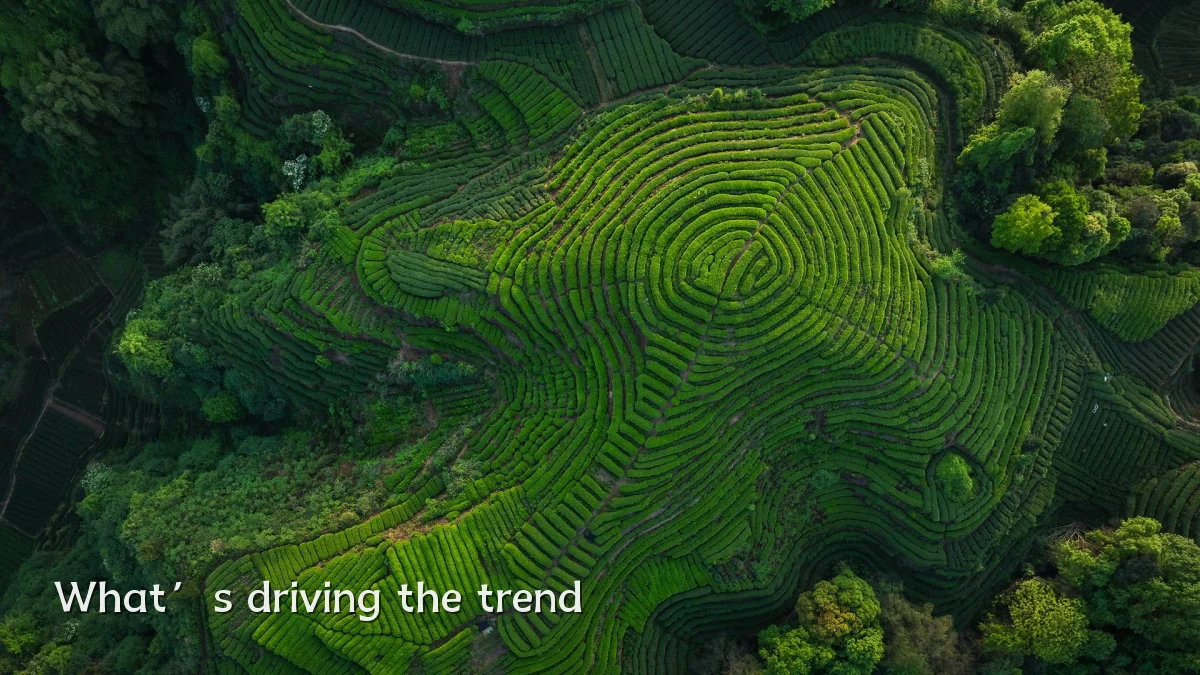 What’s driving the trend