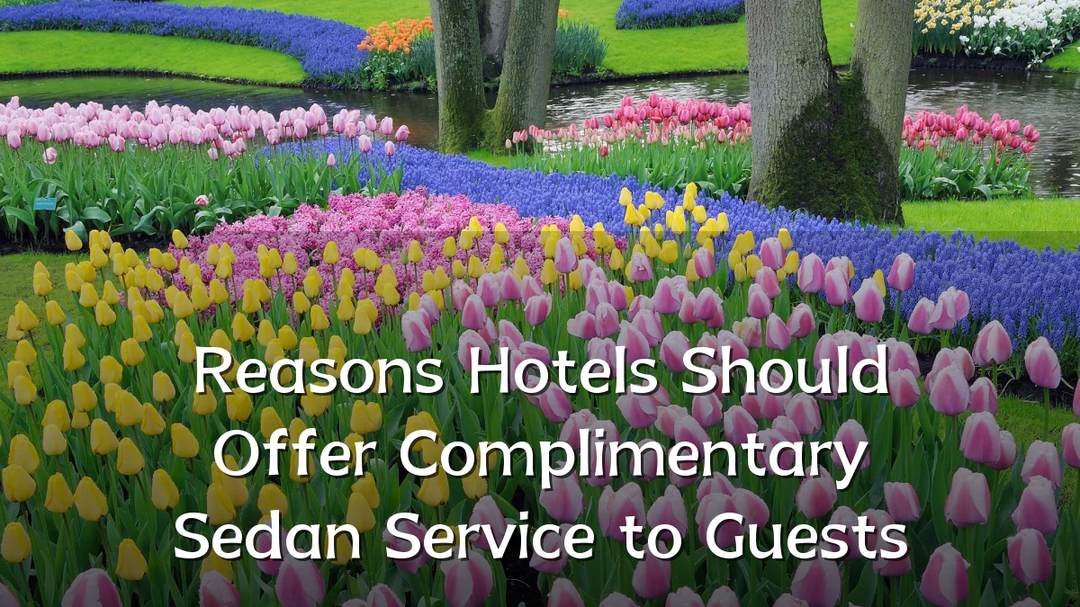 Reasons Hotels Should Offer Complimentary Sedan Service to Guests